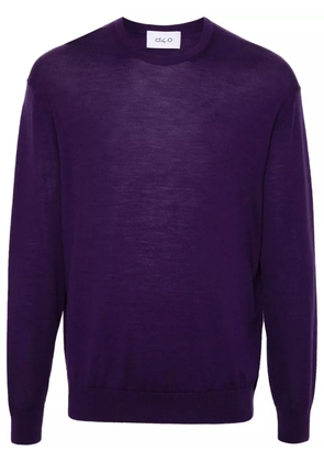 D4.0 wool sweater - Purple
