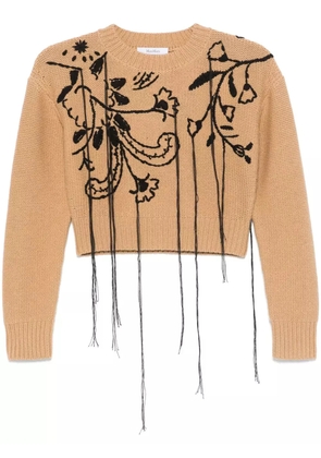 Max Mara embroidered sweater - Brown