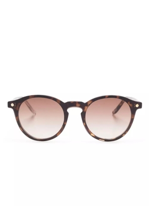 Snob Doguito glasses - Brown