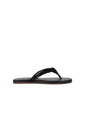 Kaanas Litibuan Sandal in Black. Size 11. Also in 5.