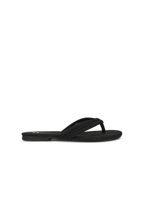 Seychelles Laguna Sandal in Black. Size 6. Also in 6.5, 7.5.