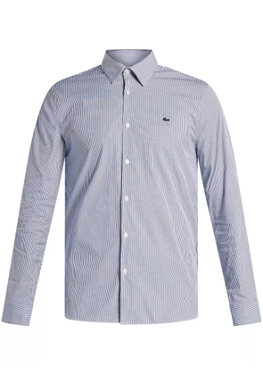 Lacoste striped poplin shirt - Blue