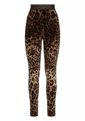 Dolce & Gabbana leopard-print jacquard leggings - Brown