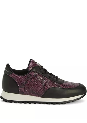 Giuseppe Zanotti Jimi snakeskin leather sneakers - Black