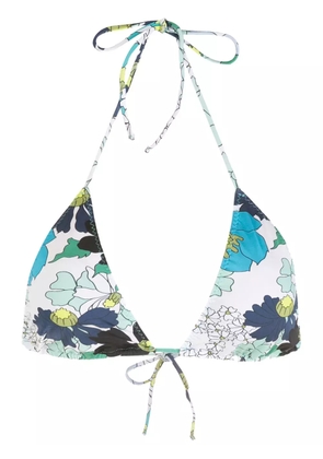 Clube Bossa Aava bikini top - Blue