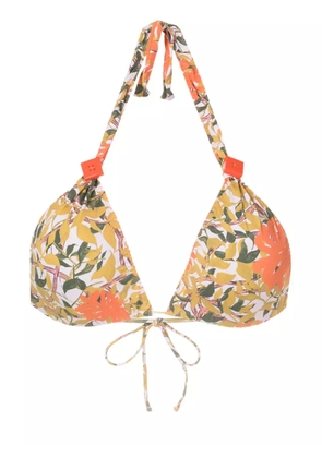 Clube Bossa Rings floral-print bikini top - Multicolour