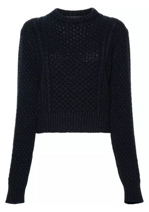Fabiana Filippi Platinum sweater - Blue