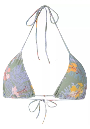 Clube Bossa Chapin bikini top - Green