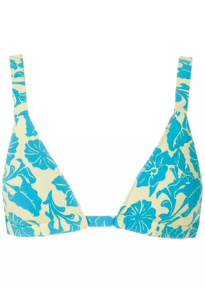 Clube Bossa Paladina bikini top - Green