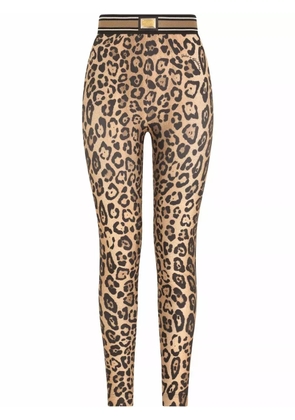 Dolce & Gabbana leopard-print jersey leggings - Brown