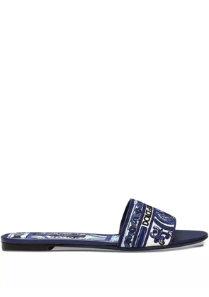Dolce & Gabbana embroidered slides - Blue