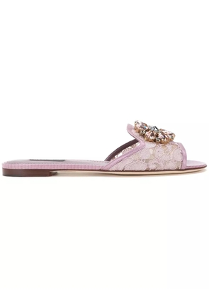 Dolce & Gabbana Rainbow Lace brooch-detail sandals - Pink