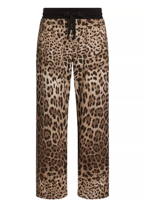 Dolce & Gabbana leopard-print track pants - Brown