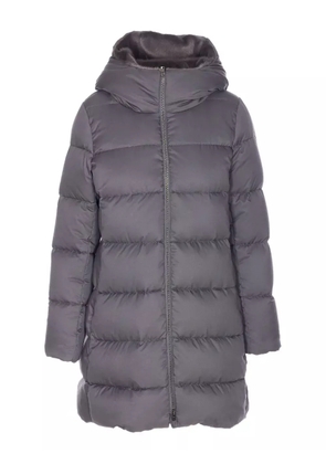 Herno padded hooded coat - Grey