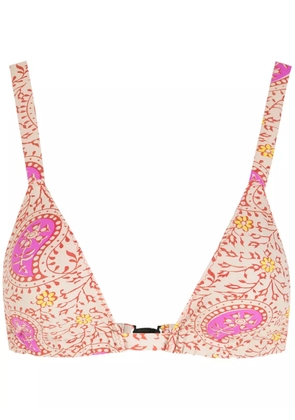 Clube Bossa Paladina bikini top - Pink