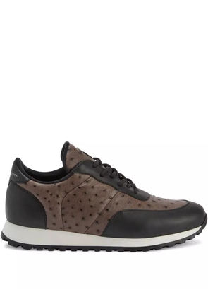 Giuseppe Zanotti Jimi ostrich-leather sneakers - Brown