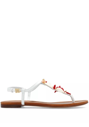 Dolce & Gabbana coral-embroidered leather sandals - White