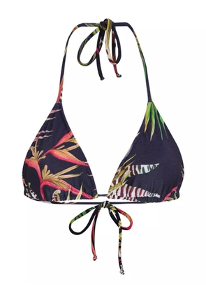 Lygia & Nanny Hanna bikini top - Blue