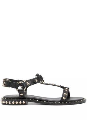 Ash stud-embellished leather sandals - Black