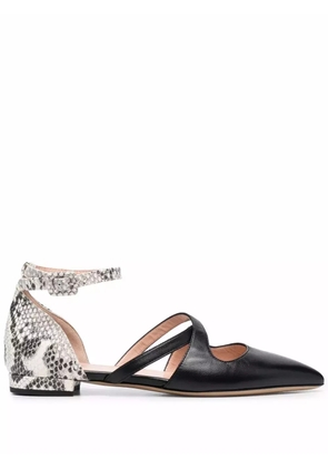 Bally python print-detail pointed pumps - Black