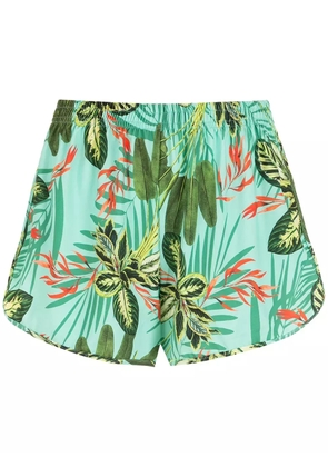 Lygia & Nanny Lee tropical print shorts - Green