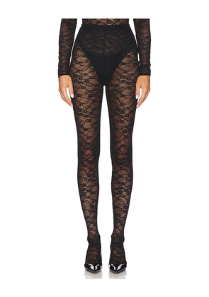 CULTNAKED Lace Skin Leggings in Black. Size M. Also in XS.