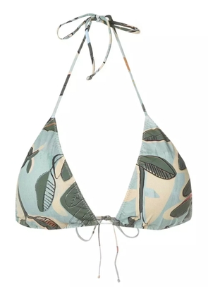 Clube Bossa Aava bikini top - Green