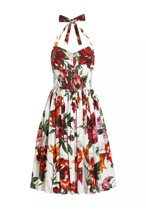 Dolce & Gabbana floral-print dress - White
