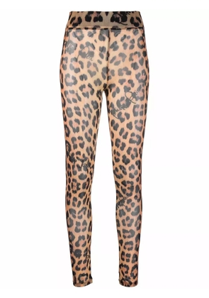 Philipp Plein leopard-print semi-sheer leggings - Black