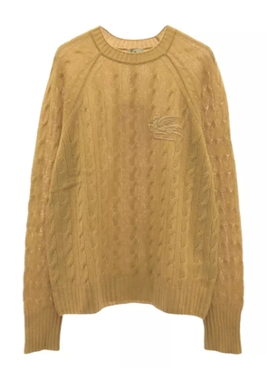 Etro Pre-Owned 2022 cable-knit sweater - Yellow
