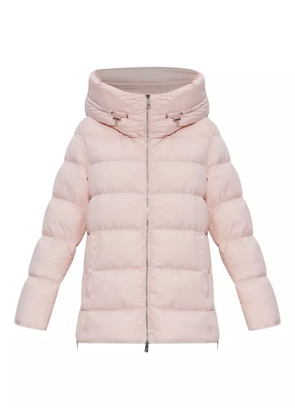 Add padded hooded jacket - Pink