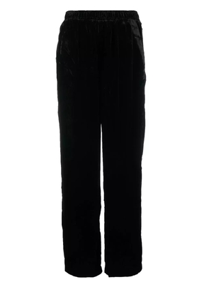 Gold Hawk velvet trousers - Black