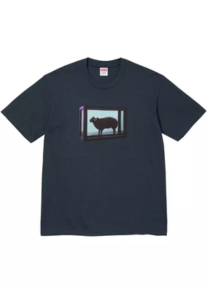 Supreme x Damien Hirst printed T-shirt - Blue