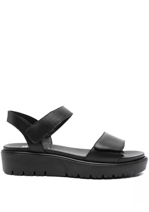 ARA 45mm adjustable-strap platform sandals - Black