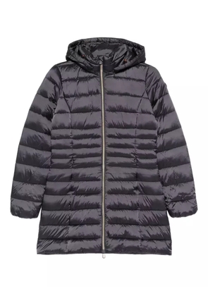 Save The Duck Reese hooded jacket - Black