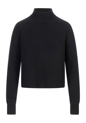 Max Mara ribbed funnel-neck sweater - Black