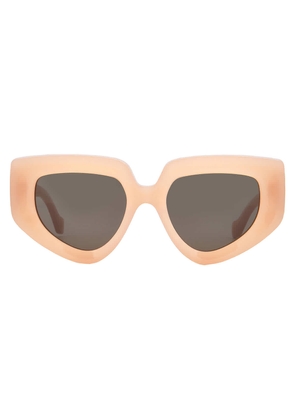 Loewe ANAGRAM Brown Cat Eye Ladies Sunglasses LW40154U 72E 51