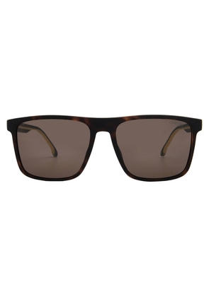Carrera Brown Sport Mens Sunglasses CARRERA 8064/S 0N9P/70 57