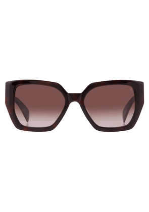 Rag and Bone Brown Gradient Butterfly Ladies Sunglasses RNB1052S 0086/HA 54