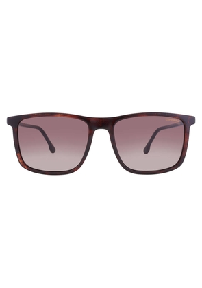 Carrera Brown Gradient Square Unisex Sunglasses CARRERA 231/S 0086/HA 55