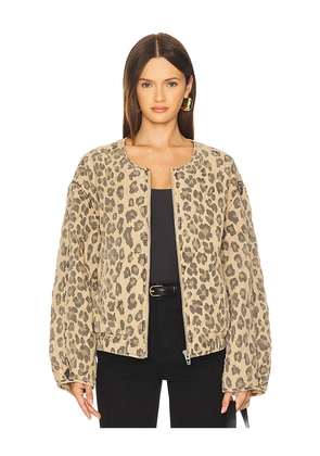 BLANKNYC Jacket in Brown. Size M. Also in S, XS.