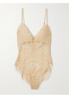 Zimmermann - Illustration Velvet-trimmed Lace Bodysuit - Cream - 00,1,2,3,4
