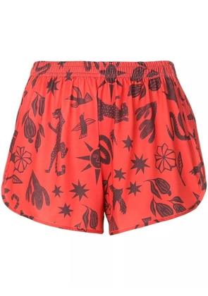 Lygia & Nanny Lee Estampado graphic-print shorts - Brown
