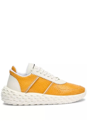 Giuseppe Zanotti Urchin sneakers - Yellow