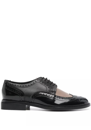 Clergerie Joelle brogues - Black
