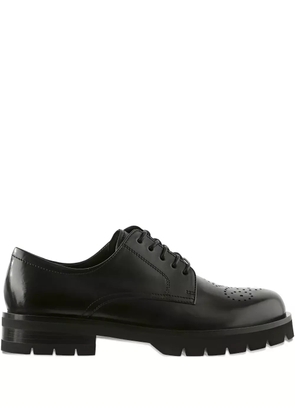Hogl Rocky brogues - Black
