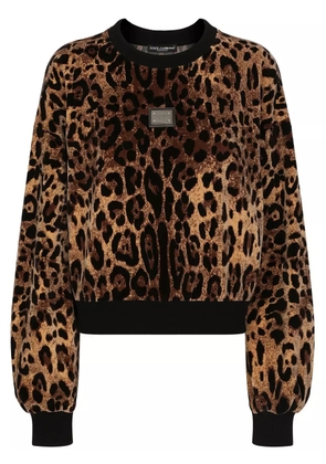 Dolce & Gabbana leopard-jacquard chenille jumper - Brown
