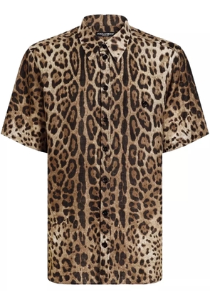 Dolce & Gabbana leopard-print shirt - Brown