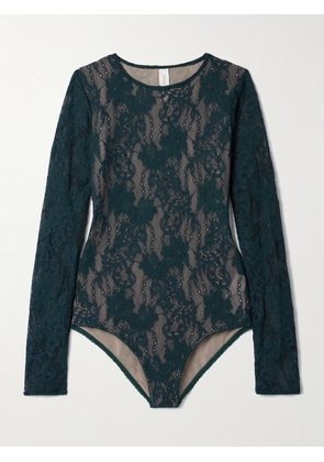 Zimmermann - Lace Bodysuit - Blue - 00,1,2,3,4