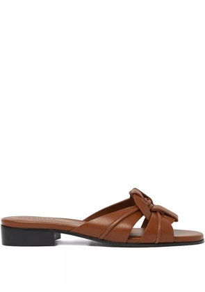 Scarosso Anna slides - Brown